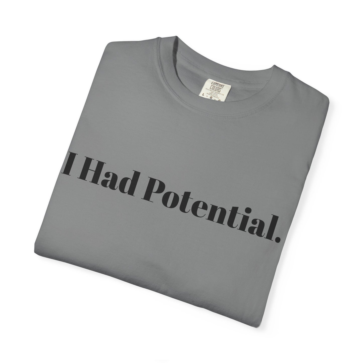 Until I Found The Ozarks T-Shirt — 'I Had Potential.' Vintage Outdoor Graphic Tee Ozark Adventure Gear