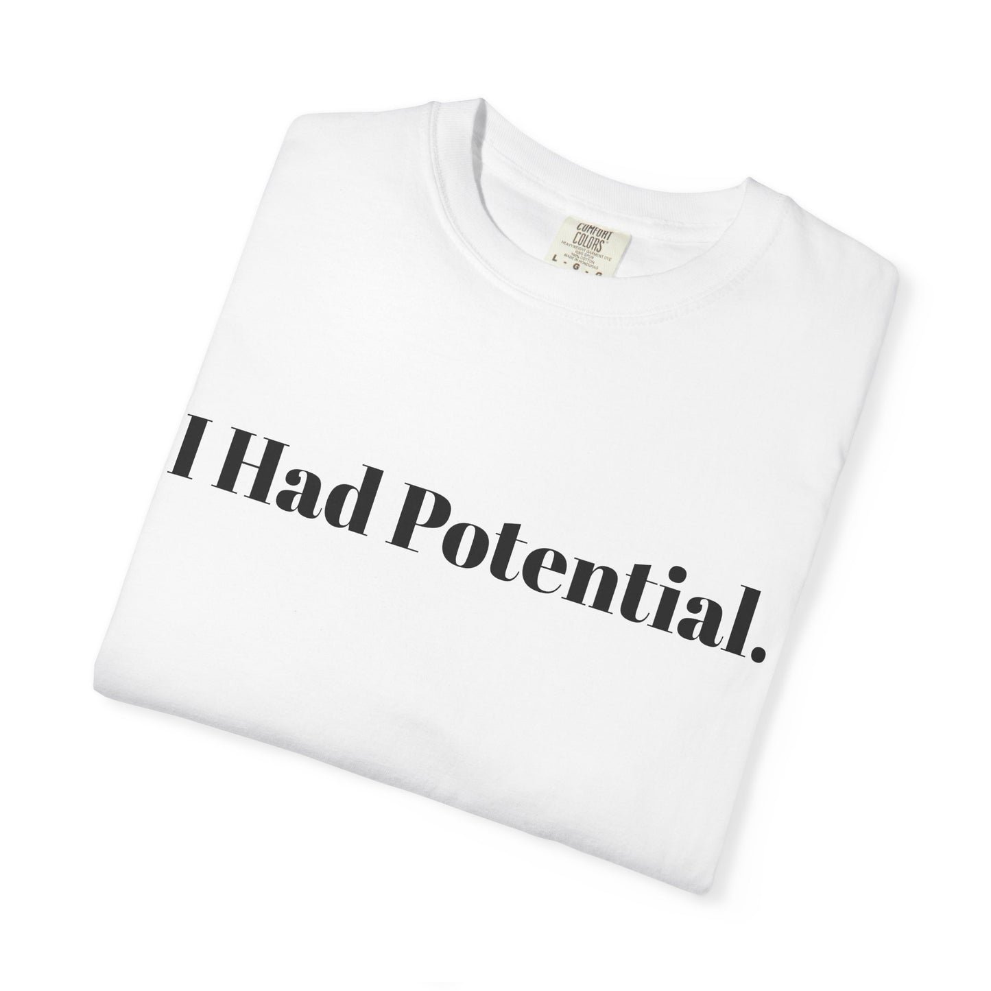 Until I Found The Ozarks T-Shirt — 'I Had Potential.' Vintage Outdoor Graphic Tee Ozark Adventure Gear