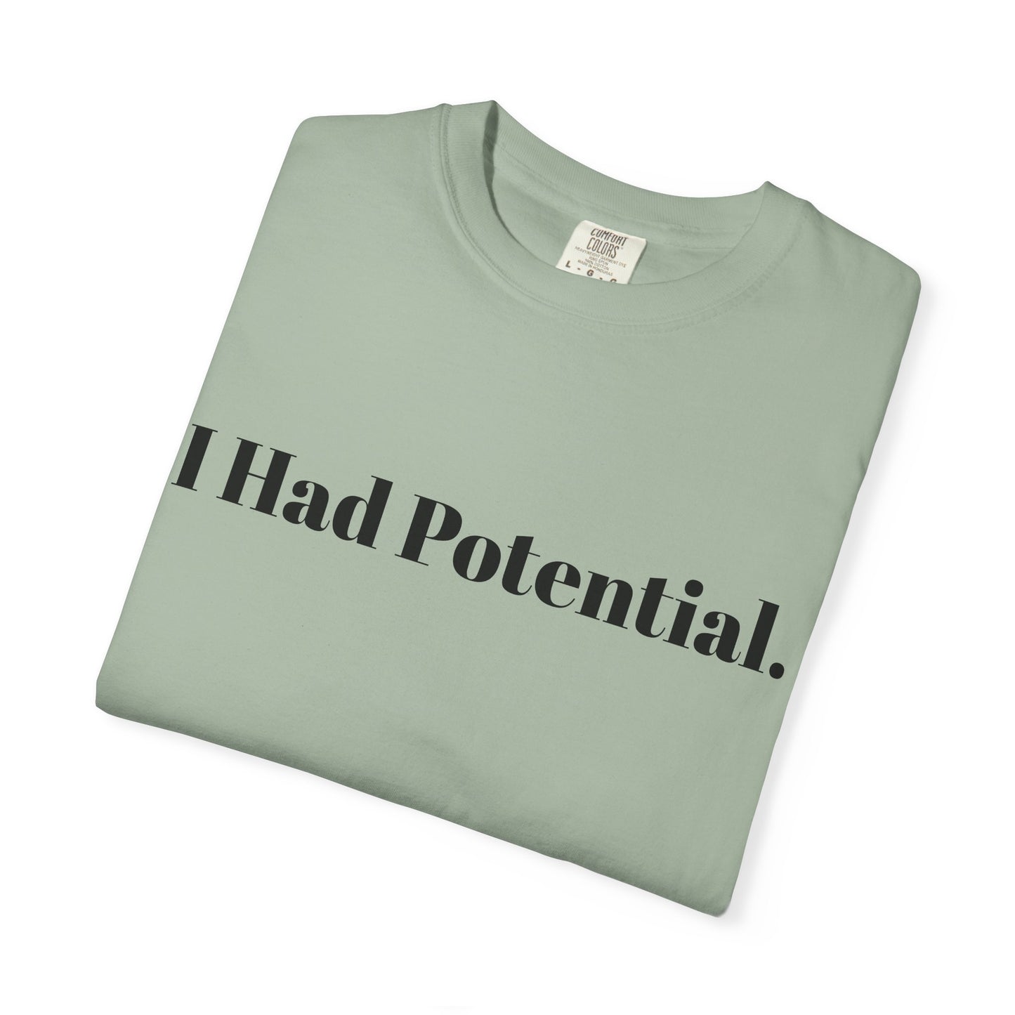 Until I Found The Ozarks T-Shirt — 'I Had Potential.' Vintage Outdoor Graphic Tee Ozark Adventure Gear